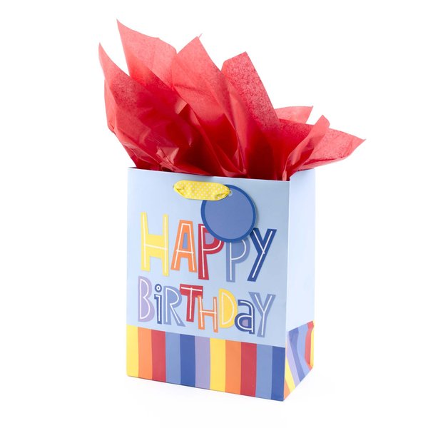 Hallmark 9" Medium Gift Bag with Tissue Paper (Happy Birthday, Rainbow Stripes on Light Blue)