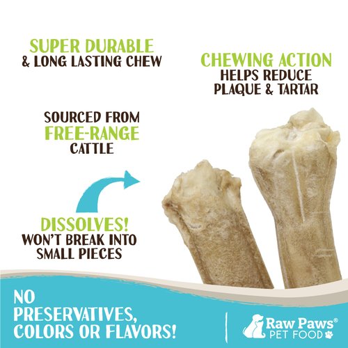Raw Paws Compressed Rawhide Chews for Small Dogs (10 Pack) - Natural Raw Hides Small Dogs - Single Ingredient Dog Bones - Puppy Chew Bones - Puppy Teething Chews