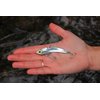 SteelShad - Original Series (3/8 oz) Silver - Bass Fishing Lures - Lipless crankbait for Freshwater Fishing - Long Casting Blade Bait Perfect for Bass, Walleye, Trout