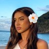 Haomye Hawaiian Flower Hair Clip Plumeria Floral Hair Pin Hibiscus Flower Hair Clips for Summer Beach Hair Accessories 4pcs