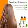 Awesome Human Hair Wig Shampoo, pH5, Just Soak, Wig Care, Adds Body & Volume, Freshness Feeling, 7 fl oz(1 set of 2)
