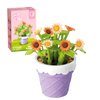 MEIEST Mini Flower Succulent Bonsai Building Block Set,Simulation Pot Plant Artificial Particle Flower Botanical Collection Construction Building Bricks Toy,Cute Home Decors (Daisy)