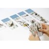 Kikkerland 3D Lenticular Bird Pokersize Deck 54pc Standard Index Waterproof Novelty Playing Cards