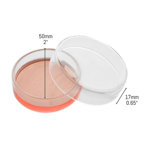 EISCO Petri Dish, 2" (50mm) - Beaded Edges Easy to Sterilize for Repeated Use Borosilicate Glass- Eisco Labs