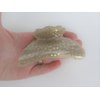 Generic Art deco champagne gold sparkle hair claw clip for thick hair