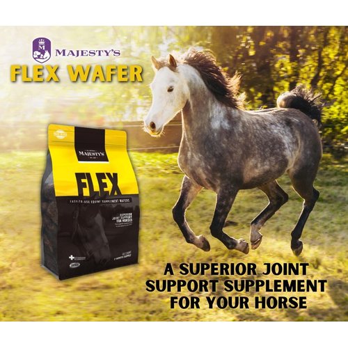 Majesty's Flex Wafers - Superior Horse / Equine Joint Support Supplement - Glucosamine, MSM, Chondroitin, Yucca, Vitamin C - 30 Count (1 Month Supply)