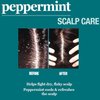 Difeel Peppermint Scalp Care Hair Oil 7.1 Ounces