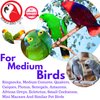 Bonka Bird Toys 2026 Pk12 Plastic Bolt and Wing Nuts Foot Talon Parrot Cage Toy, Conure, African Grey, Ringnecks, and Similar Breed Sizes