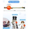 Harhana Dog Rope Toys with Squeaky Ball, Tug of War Dog Toy Ball on Rope, Durable Rubber, Fetch Dog Toys, Interactive Dog Toys for Boredom, Rope Dog Toys for Small, Medium Dogs to Keep Them Busy