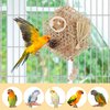 Reshiho Parakeet Toys Bird Toys for Cockatiels Bird Foraging Cage Toys Parakeet Toys Bird Shredded Toys for Cage Small Parakeet Cage Accessories for Cockatiels Conures Parakeet Toys Budgies Quakers