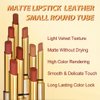 BINGBRUSH Moisturizing and Silky Velvet Lipstick Pack Set, Matte Longwear Waterproof Smooth Color Lip Crayon - Nourishing Lipstick Lipgloss Lip Stain (04#Caramel reddish brown)