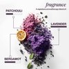 Pureology Hydrate Moisturizing Shampoo | Softens and Deeply Hydrates Dry Hair | For Medium to Thick Color Treated Hair | Sulfate-Free | Vegan , 9 Fl Oz