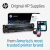 HP 65 Black Ink Cartridge | Works with HP AMP 100 Series, HP DeskJet 2600, 3700 Series, HP ENVY 5000 Series | Eligible for Instant Ink | N9K02AN