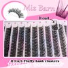 MIZ BARN Lash Clusters 144pcs Lash Extension D Curl Eyelash Clusters, 12-18mm individual Lashes Fluffy False Eyelashes Clusters DIY at Home (D-12-18 MIX)(DIY 06)