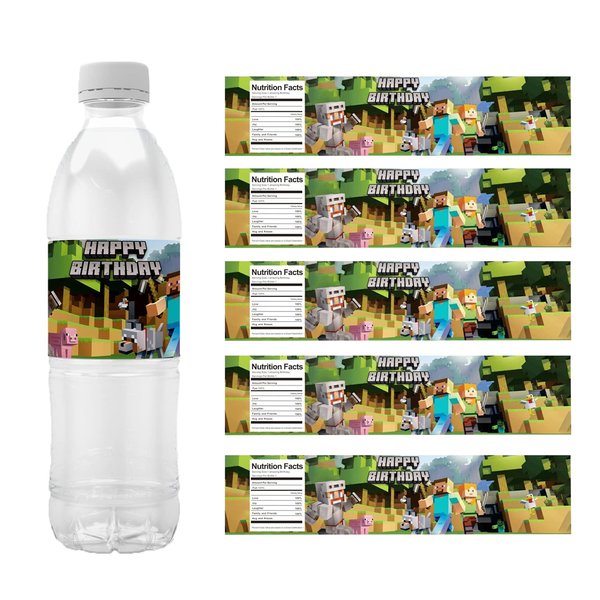 24Pcs WDSJ theme Birthday party Water Bottle labels suitable for birthday party decorations Friends party decorations