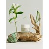 Olos Mattifying Rebalancing Cream, 1.7 oz - Face Cream for Oily Skin - Controls Sebum Production, Improves Skin Texture - Non-Clogging Makeup Primer