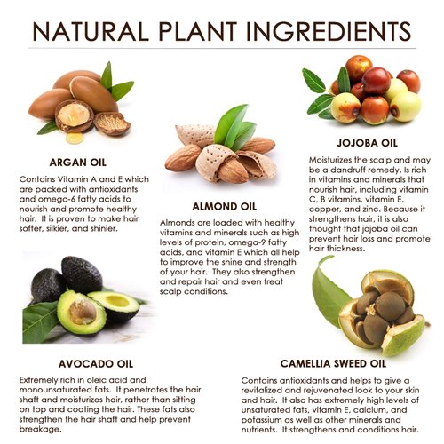 DOUNGURI Sulfate Free Activated Charcoal Hair Shampoo for Clarifying, Detoxification and Volumizing 16oz – Organic Ingredients: Argan (Moroccan), Avocado (Shampoo)