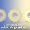 PHILIPS Wake-up Light, Sunrise Simulation, 2 Natural Sounds, FM Radio & Bedside Lamp, HF3505/60
