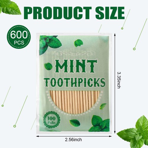 600 Pcs Mint Toothpicks Bulk Flavor Menthol Toothpicks Wood Flavored Toothpicks for Adults Natural Wooden Tooth Pick for Humans Teeth Oral Dental Health