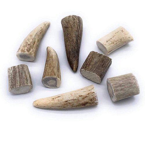 Perfect Pet Chews Elk Antler Bunny Bites - Grade A, All Natural, Organic, and Long Lasting Treats - Made from Naturally Shed Antlers in The USA - 8 Count