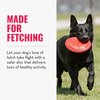 KONG Flyer - Durable Dog Toy for Outdoor Playtime - Natural Rubber Flying Disc, Dog Toy for Fetch - Safer Disc for Healthy Activity - for Small Dogs (Pack of 2)