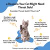 Pet Wellbeing Throat Gold for Cats - Vet-Formulated - Soothes Throat Discomfort and Occasional Cough, Supports Upper Respiratory Tract - Natural Herbal Supplement 2 oz (59 ml)