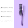 RAIN’S SECRET Lollipop Shaped Mini Detangling Hair Brush for Women,Men,Kid, Wet/Dry Hair,Pocket Detangler for Outing or Traveling (purple)