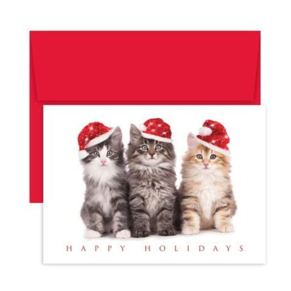 Masterpiece Studios Holiday Brights Collection 16-Count Christmas Cards, Christmas Kittens, 7.87" x 5.62" (900800)