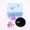 CIBLUTY ICE Beauty Balls for Facial, 2PCS Purple Facial Roller for Cold Facial Massage Face Roller Balls with Anti-Freeze Liquid to Reduce Puffiness, Pores, Wrinkles…
