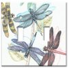 Art Plates - Dragonflies Switch Plate - Double Toggle