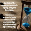 Suzy Cohen Catalase 12,500 Catu Dietary Supplement, Liver Enzyme, Neutralize Hydrogen Peroxide, Supports Healthy Skin, Hair, Blood, Cholesterol, 30 DR Caps