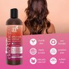 Artnaturals Apple Cider Vinegar Shampoo – (12 Fl Oz / 355ml) – for All Hair Types - Plant Base Blend - Coconut Oil and Vitamin E for Split Ends, Shine, Stronger and Smoother