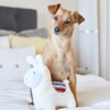 ZippyPaws Zp901 Storybook Snugglerz - Liam The Llama Dog Toy