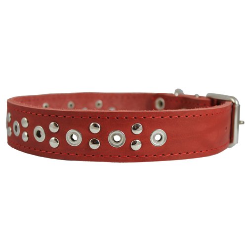 Dogs My Love Genuine Leather Studded Dog Collar 22"x1.4" Red Fits 14.5"-18" Neck