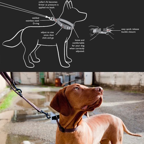 EzyDog Checkmate Martingale-Style Premium Nylon Safety Training and Correction Dog Collar - Quick-Clip Buckle and Reflective Stitching - Easy Control with no Choking Effect (Medium, Red)