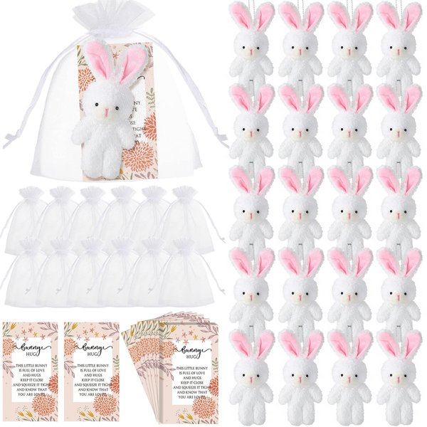 Fuutreo 24 Sets Bunny Stuffed Animal Gift Include 24 Pcs Mini Plush Stuffed Bunny Doll Bunny Hug Card with Organza Bags for Teacher Students Easter Party Favors(Sweet Bunny)