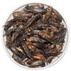 JADINGSFARM Freeze Dried Crickets – 4.5 Oz High Protein Freeze Dried Crickets, Food for Reptiles, Bearded Dragons, Lizards, Geckos, Birds, Fish,Hedgehogs, Bearded Dragon Food