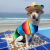 CIEOVO Dog Sombrero Hat, Mini Straw Sombrero Hats Mexican Hats Sombrero Party Hats for Small Pets/Puppy/Cat