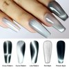 Laza Cat Eye Chrome Nail Powder Chameleon Magnetic Powder 9D Cat Eye Effect Mirror Effect Pigment Dust Magic Galaxy Holographic Effect Glitter with Magnetic Stick for Velvet Nail Art - Silver Velvet