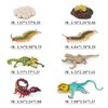 Fantarea Wild Life Jungle Animal Action Figures Model Playsets 8 PCS Chameleon Lizard Scorpion Scolopendra Life Cycle Party Favors Supplies Cake Toppers Set Toys for Boys Girls Kids Toddlers