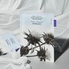 RAWQUEST- Milk Thistle Brightening Spa Black Mask (5ea) I for Sensitive & Dry skin I A silky soft Skin-fitting sheet mask Madecassoside Ultra-hydrating Hydracell-QS