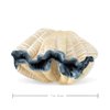 Folkmanis Giant Clam Hand Puppet