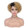 Quantum Love Human Hair Wigs for Black Women Short Curly Human Hair Side Part Wig Pixie Cut Brazilian Remy Human Hair Deep Curly None Lace Front Ombre Blonde Wigs