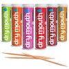 Xero Picks Dry Mouth - Infused Flavored Toothpicks for Long Lasting Fresh Breath & Dry Mouth Prevention (Variety 6 Pack)