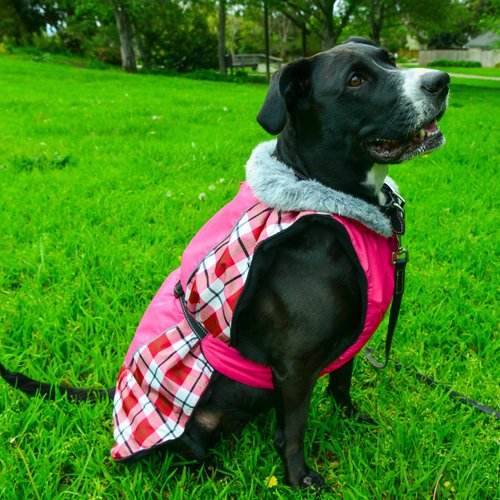 Doggie Design Alpine All-Weather Dog Coat with Reflective Night Safety Straps and Trim - Tough, Thick Warm Fleece Interior and Waterproof Outer Polyester - Raspberry Plaid (M)