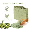 Relaxcation Olive Soap Bar with Organic Olive Oil and Olive Leaves - Anti-aging and Antioxidant Natural Cold Process Soap Handmade in USA' for ASIN (Olive Soap Bar)
