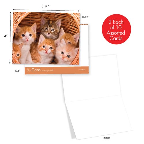 The Best Card Company - 20 Adorable Cat Greeting Cards (4 x 5.12 Inch) - Blank Assortment (10 Designs, 2 Each) - Litters Letters AM7058OCB-B2x10