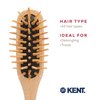 Kent KB MiniWoodyhog Travel Size Detangling Brush Beech-wood Travel Brush, Firm Rounded Wooden Bristles,Natural Cushion Detangler Wooden Hair Brush for Women Men and Kids Everyday Care,Made in England