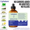 UpNature Breathe Essential Oil Blend - Essential Oils for Diffusers for Home and Humidifiers - Aromatherapy Oils for Breathing Comfort, 2oz