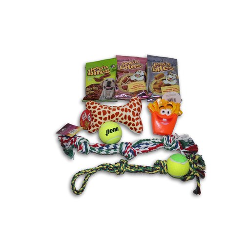 Good Dog Care Package New Pet Gift box